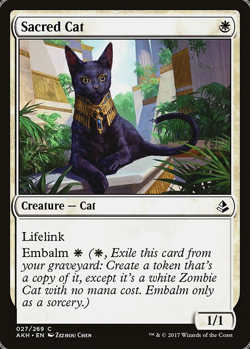 Sacred Cat - Amonkhet - #27