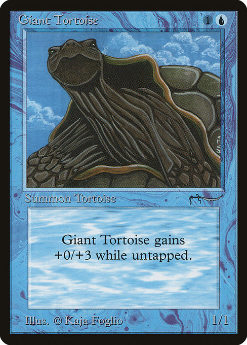 Giant Tortoise - Arabian Nights - #15