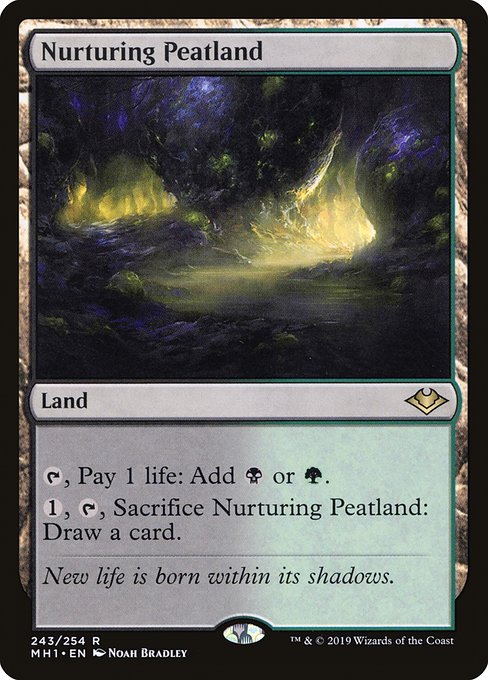 Nurturing Peatland - Modern Horizons - #243