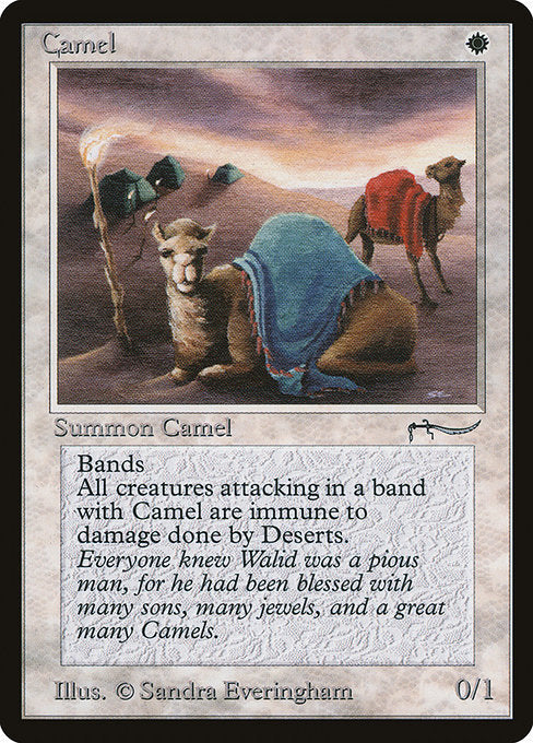 Camel - Arabian Nights - #3